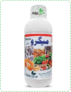Megro Boron 5