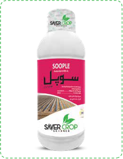 Soople SL 20